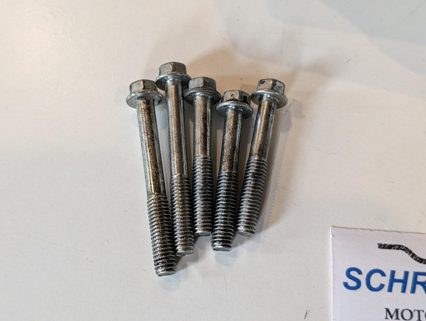 Yamaha GTS1000A 4BH Kettenritzel Abdeckung Motordeckel 3GM-15410-00 gebraucht