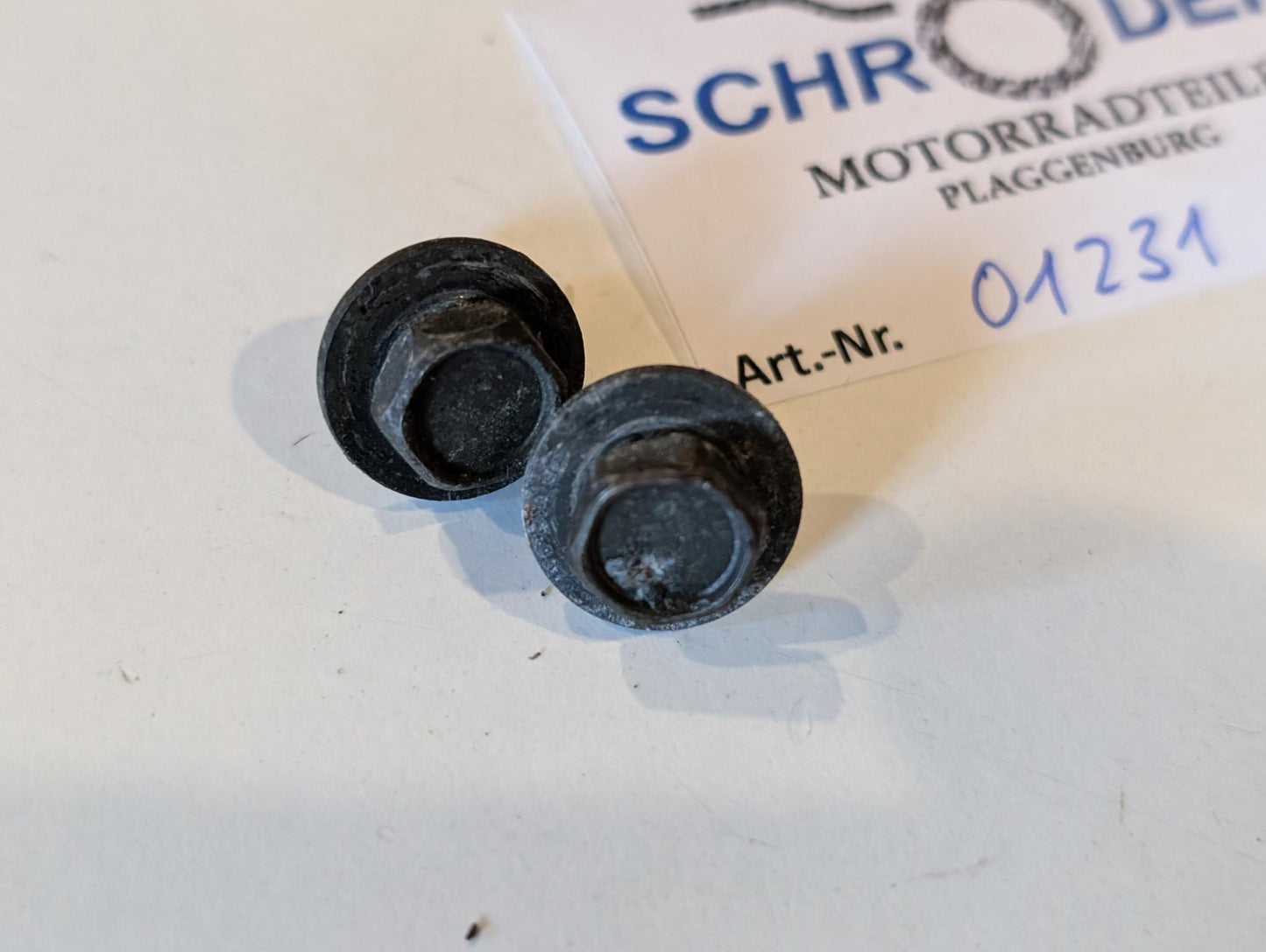 Yamaha XT600E 3TB 3UW Kettenschutz Kettenführung Kettenkasten mit Schrauben 3TB-22311-00