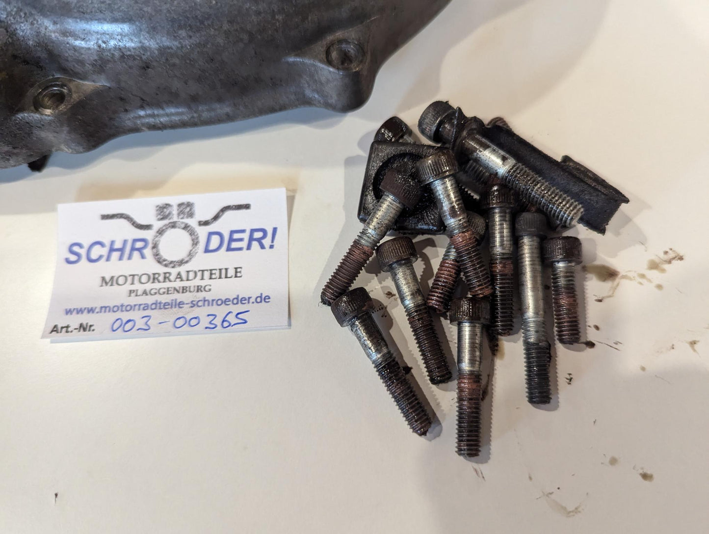 Yamaha XV750 5G5 Lichtmaschinendeckel Lichtmaschine Stator