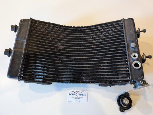 Yamaha GTS1000A 4BH Wasserkühler 4BH-1240A-00, gebraucht