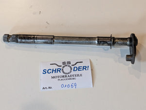 Descriptive image text