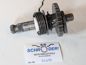 Descriptive image text