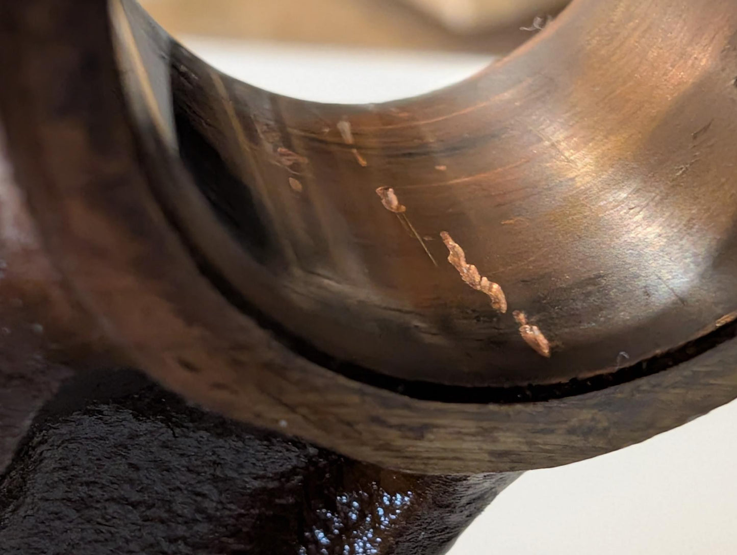 Yamaha XT600 43F Kurbelwelle 34K-11400-00 gebraucht